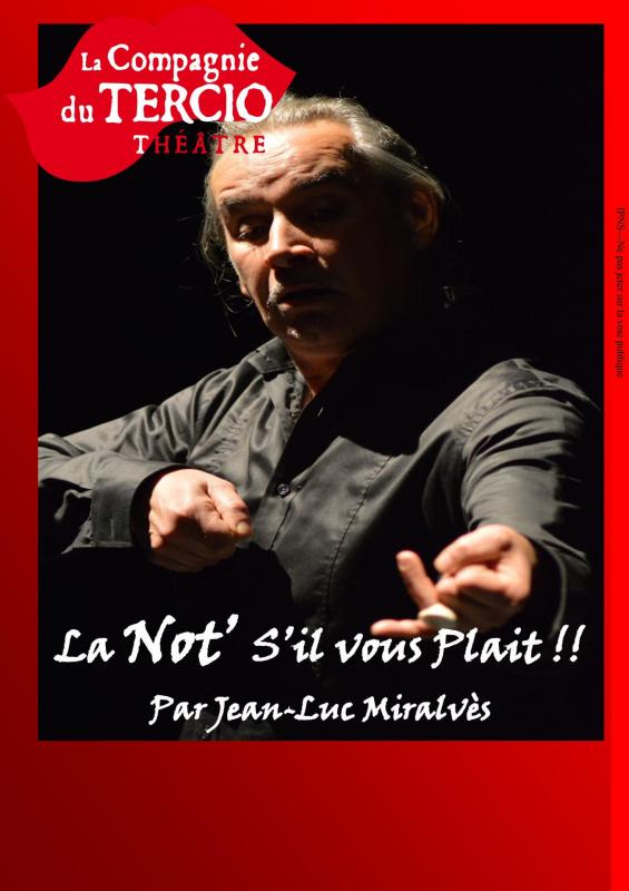 Flyer ses la not vierge pour site recto